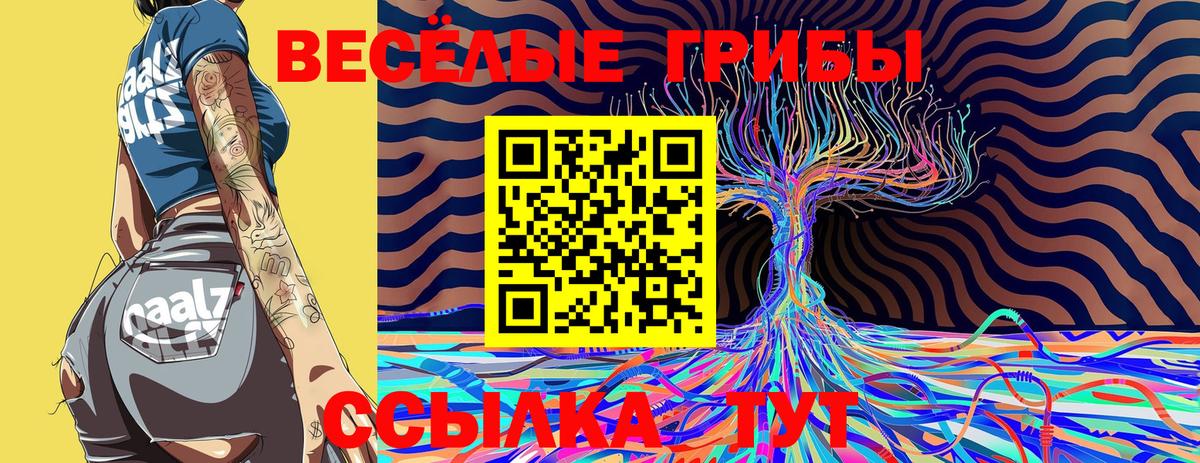 Миллерово  Псилоцибиновые грибы Psilocybine cubensis  Галлюциногенные грибы мухоморы  Вход с VPN 